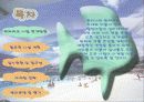 워터파크 사업계획서 4페이지