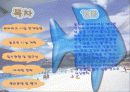 워터파크 사업계획서 21페이지