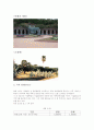 제주관광식물원 여미지 4P 분석 3페이지