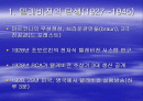 TV의 역사와 영향력 2페이지