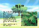 나무종류별 특징분석 및 사진 3페이지