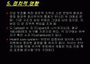 러시아의 보건의료체계 11페이지