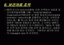 러시아의 보건의료체계 13페이지