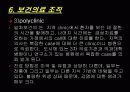 러시아의 보건의료체계 16페이지