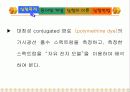 Absorption Spectra of Conjugated dye 3페이지