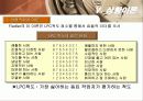 리더십의 전반적인 이해 19페이지