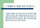 연예인 X파일이 의미하는 언론의 횡포 5페이지