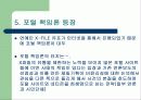 연예인 X파일이 의미하는 언론의 횡포 14페이지
