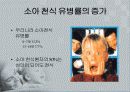 아동간호학 발표 천식(ASTHMA) 4페이지
