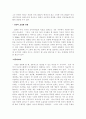 디지털 전쟁과 표준화 전쟁 3페이지