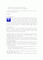이스라엘 정치제도 분석 14페이지