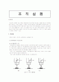 인장실험 63페이지