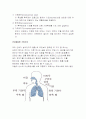 만성폐쇄성폐질환 간호 16페이지