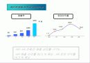 레인콤의 조직구조 분석 4페이지