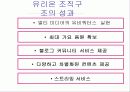레인콤의 조직구조 분석 14페이지