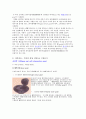 기어의 종류와 가공법 2페이지