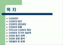 산성비에 관한 PPT 발표자료 2페이지
