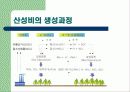 산성비에 관한 PPT 발표자료 5페이지
