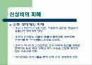 산성비에 관한 PPT 발표자료 6페이지