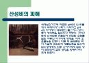 산성비에 관한 PPT 발표자료 7페이지