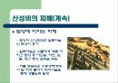 산성비에 관한 PPT 발표자료 8페이지