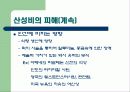 산성비에 관한 PPT 발표자료 10페이지