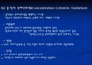 VOCs제어기술 13페이지