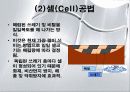 폐기물 매립공법 6페이지