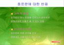 환경호르몬의 피해와 대책 15페이지