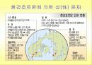환경호르몬의 피해와 대책 28페이지