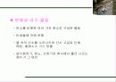 수질오염의 피해와 대책 5페이지