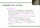 수질오염의 피해와 대책 10페이지