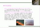 수질오염의 피해와 대책 11페이지