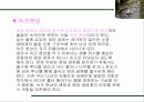 수질오염의 피해와 대책 12페이지
