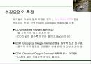 수질오염의 피해와 대책 14페이지