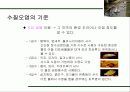 수질오염의 피해와 대책 15페이지