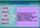 지구온난화의 원인과 대책 5페이지