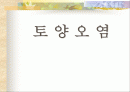 토양오염의 원인과 대책 1페이지