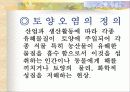 토양오염의 원인과 대책 3페이지
