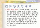 토양오염의 원인과 대책 11페이지