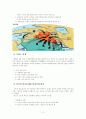 미국의 중동 정책사 3페이지