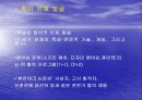 삼성그룹의 인사관리 11페이지
