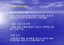 삼성그룹의 인사관리 14페이지