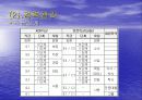 삼성그룹의 인사관리 27페이지