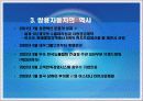 쌍용자동차 조직구조 분석 7페이지