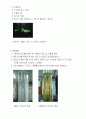 자유침강속도 4페이지