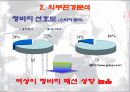 리바이스의 마케팅 13페이지