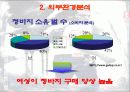 리바이스의 마케팅 14페이지