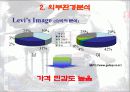 리바이스의 마케팅 16페이지