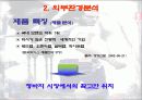 리바이스의 마케팅 19페이지